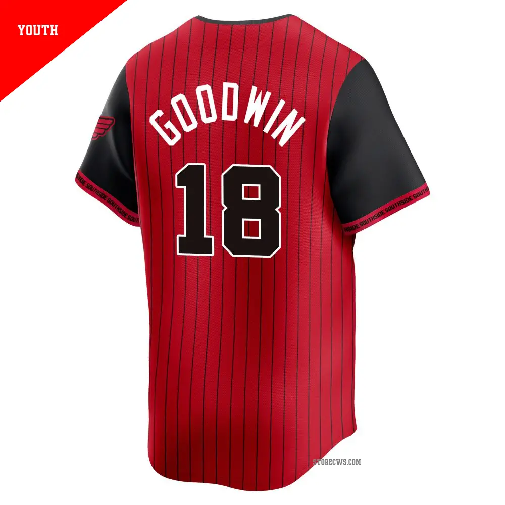 Youth #18 Brian Goodwin Chicago White Sox Red/Black Limited